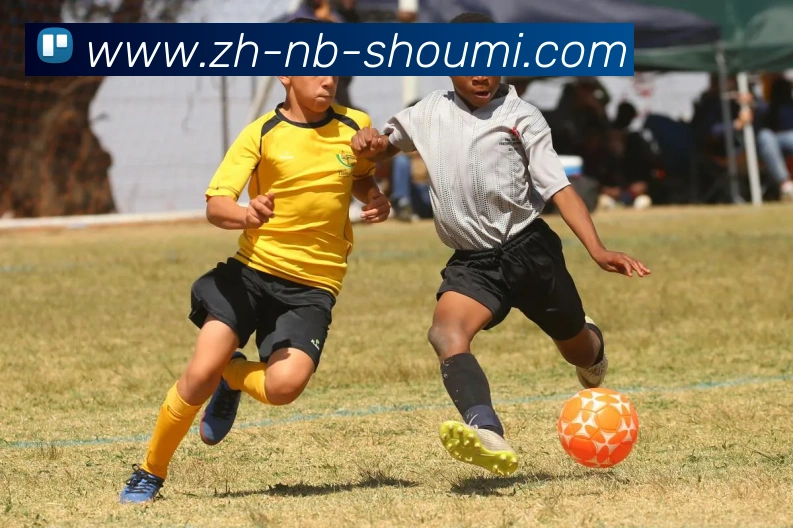 收米体育直播品牌故事